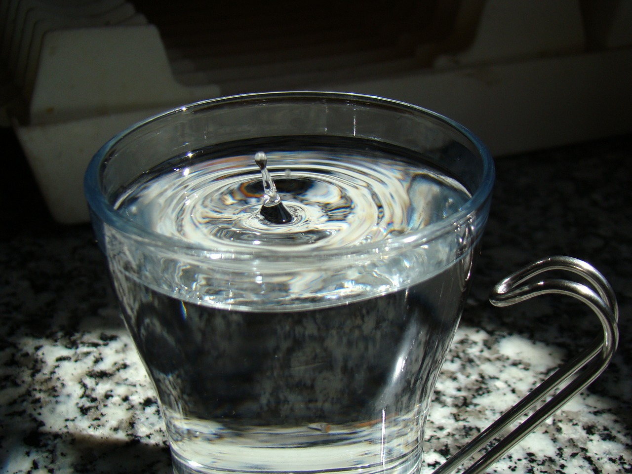 glass water cup free photo