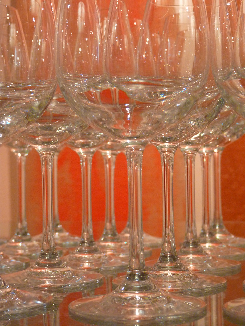 glass wine glass wine free photo