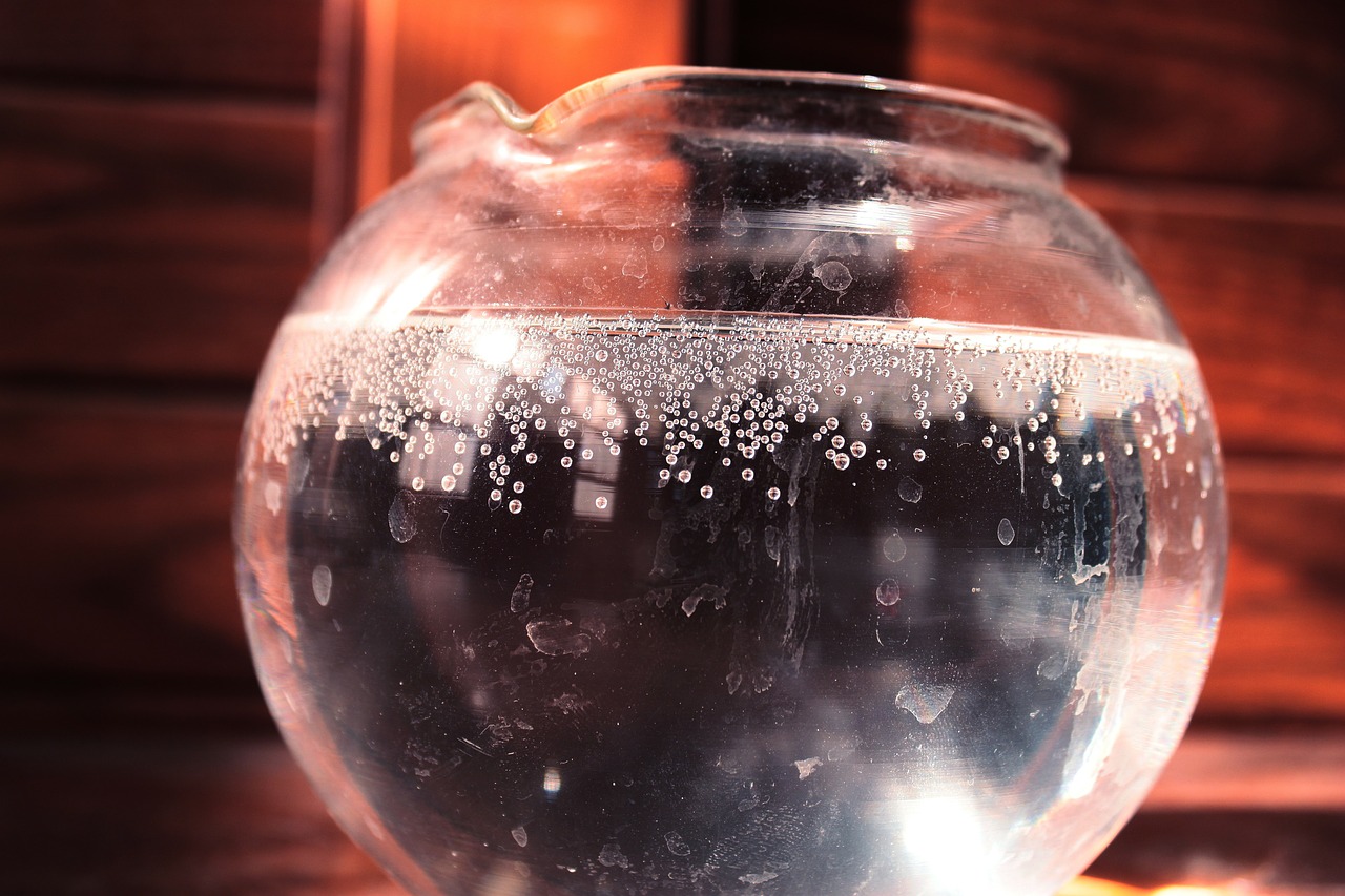 glass water bubbles free photo