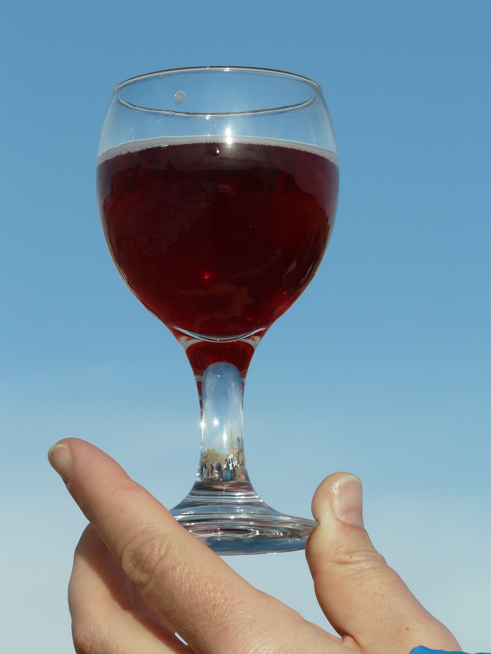 glass wine glass drink free photo