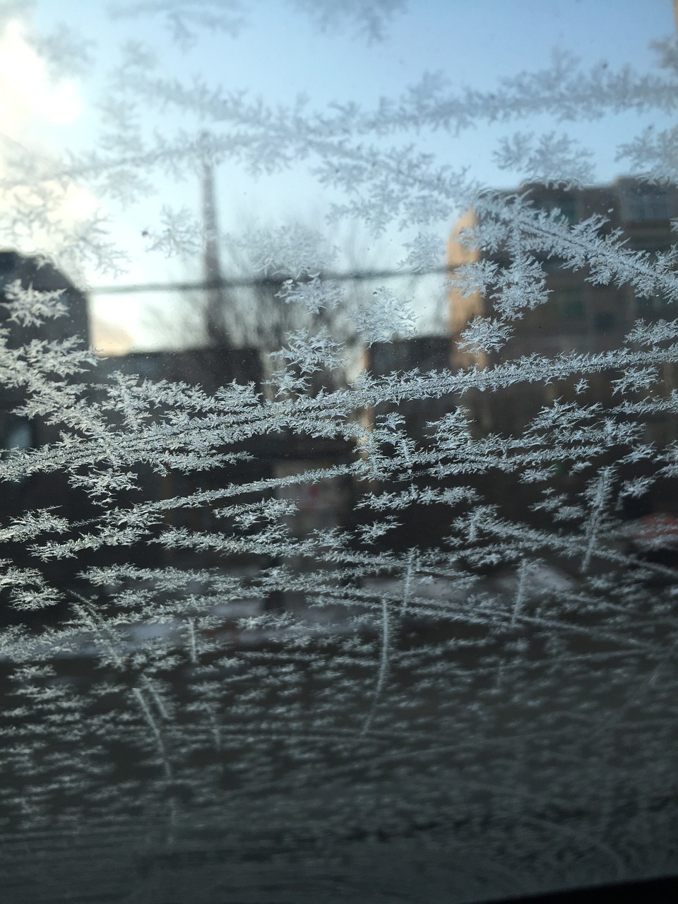 glass frost winter free photo