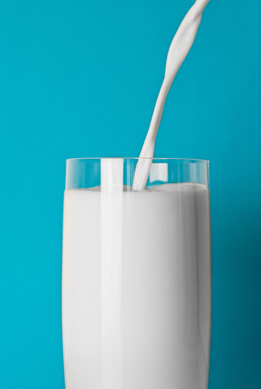 glass milk drink free photo