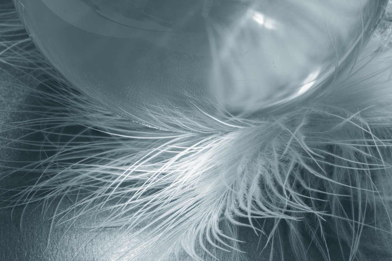 glass ball feather ease free photo