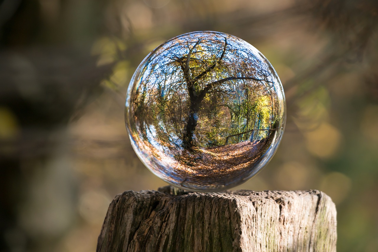 glass ball autumn tree free photo