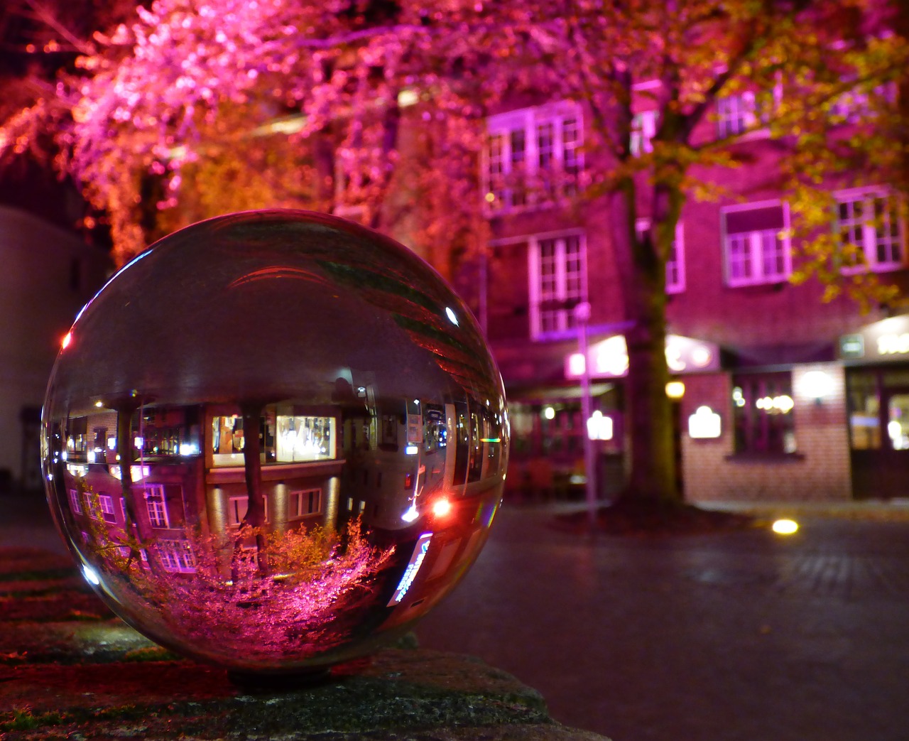 glass ball tree pink free photo