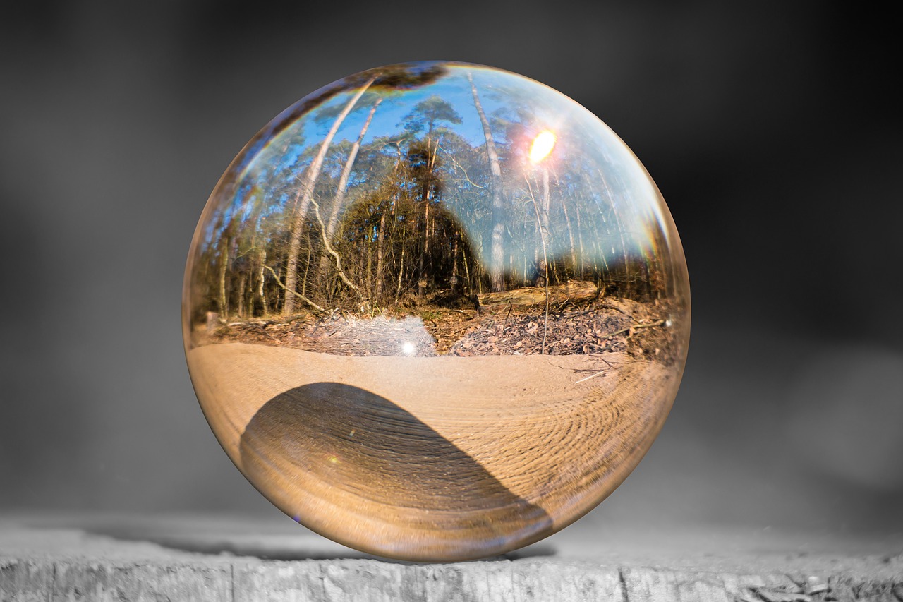 glass ball tree stump forest free photo