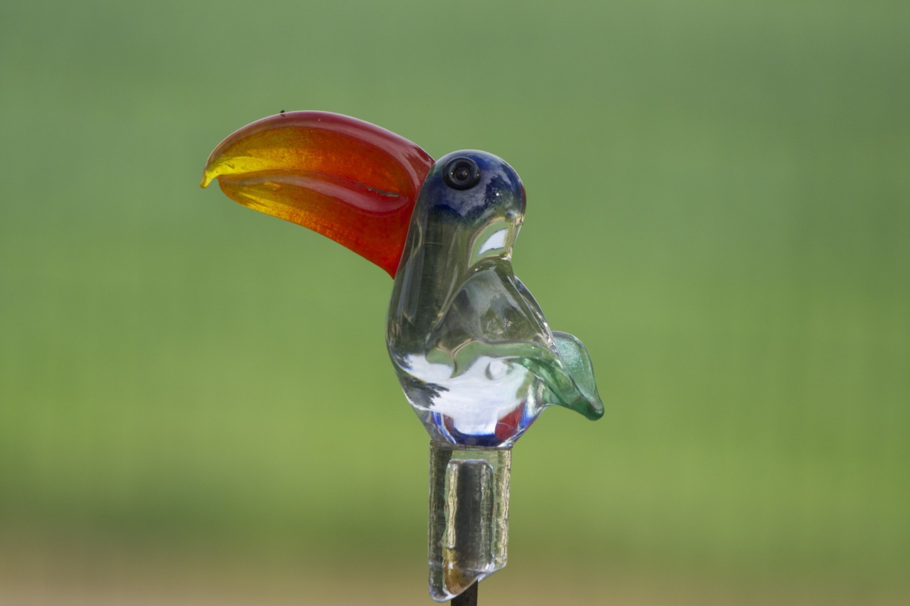 glass bird bird glass free photo
