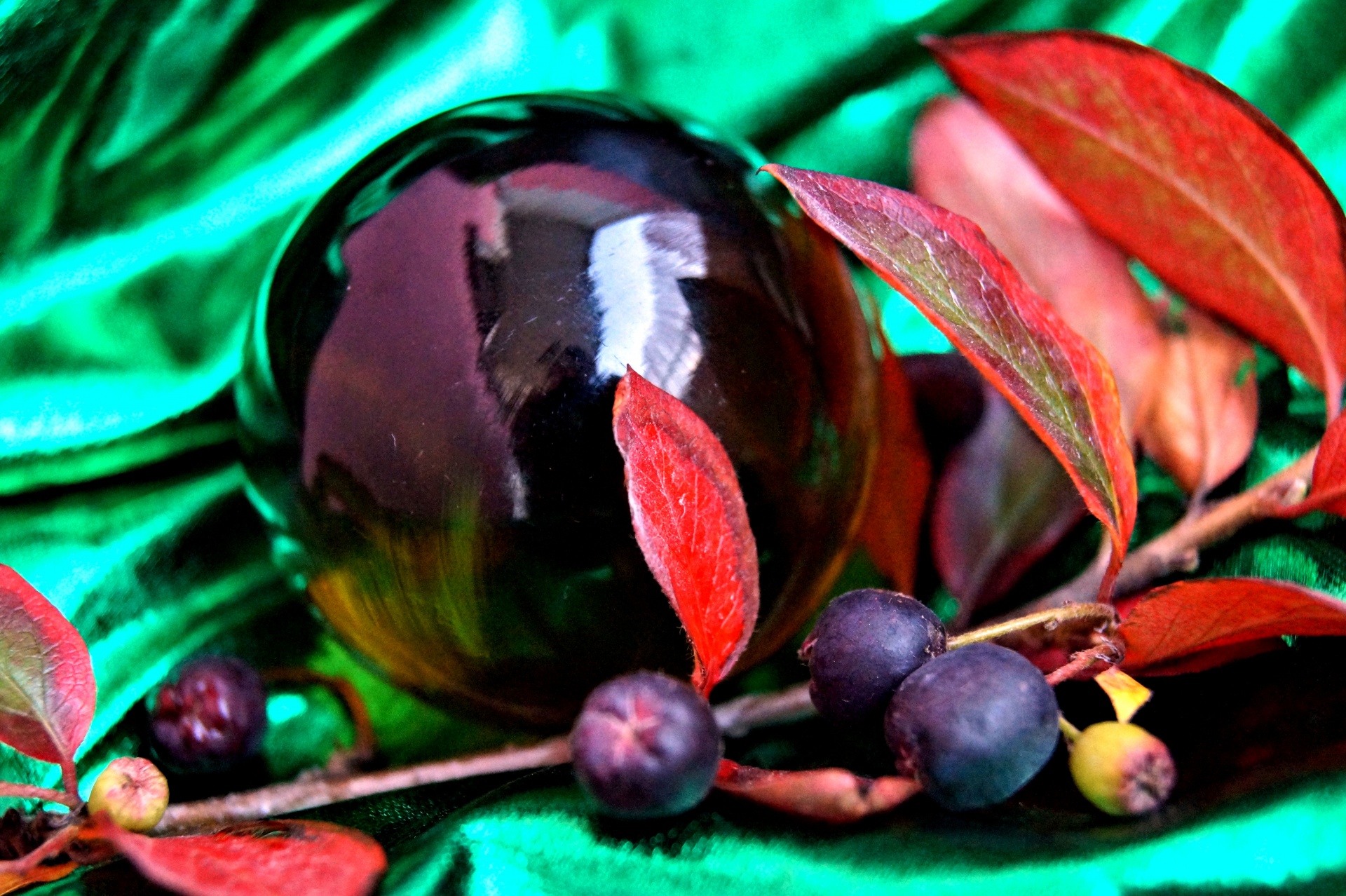 glass-blower nest egg free photo