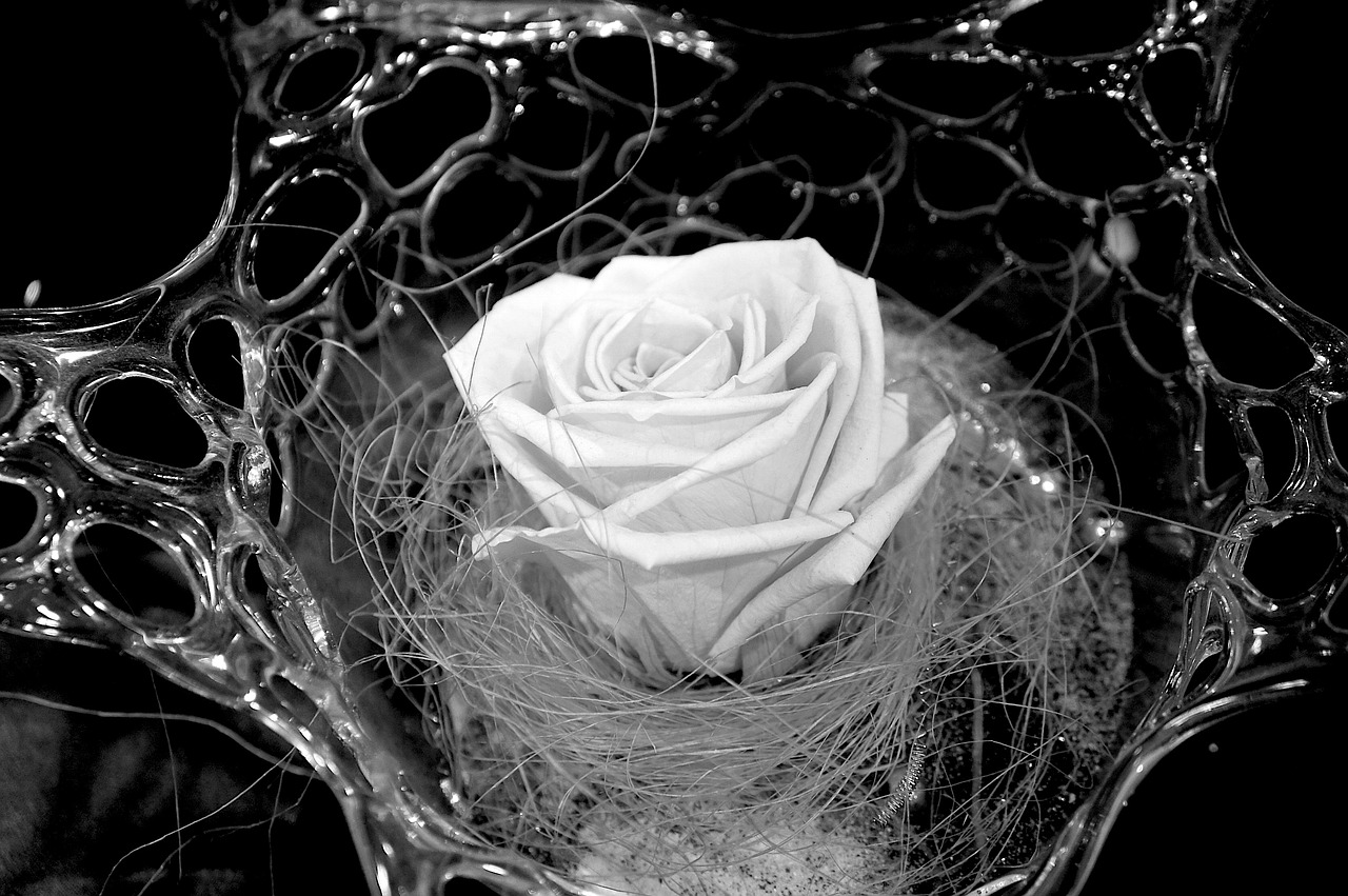 glass bowl glass art rose free photo