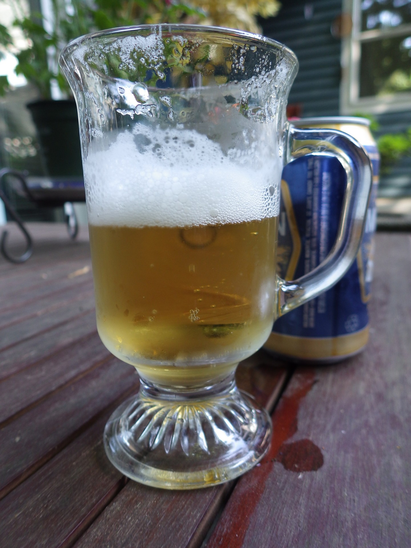 beer glass backyard free photo