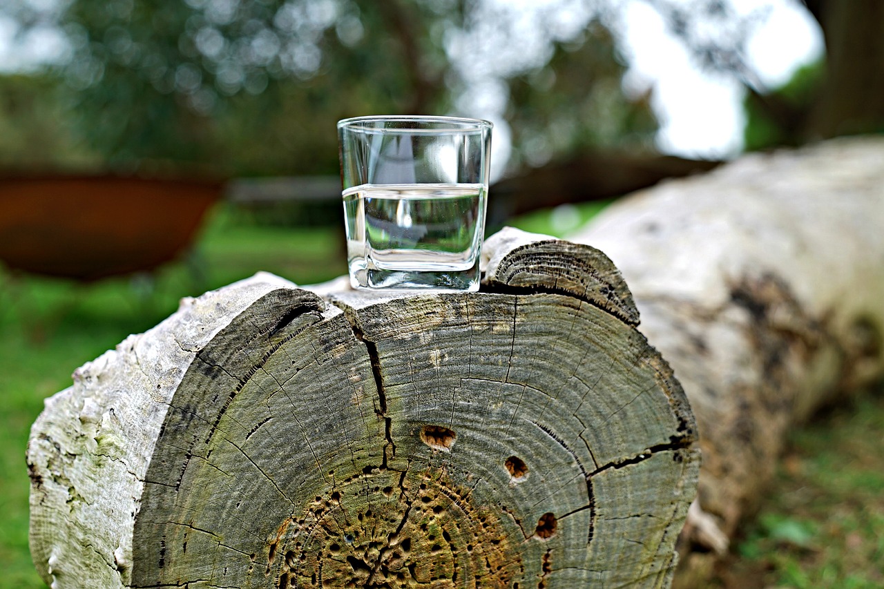 glass of water refreshment chopped trunk free photo