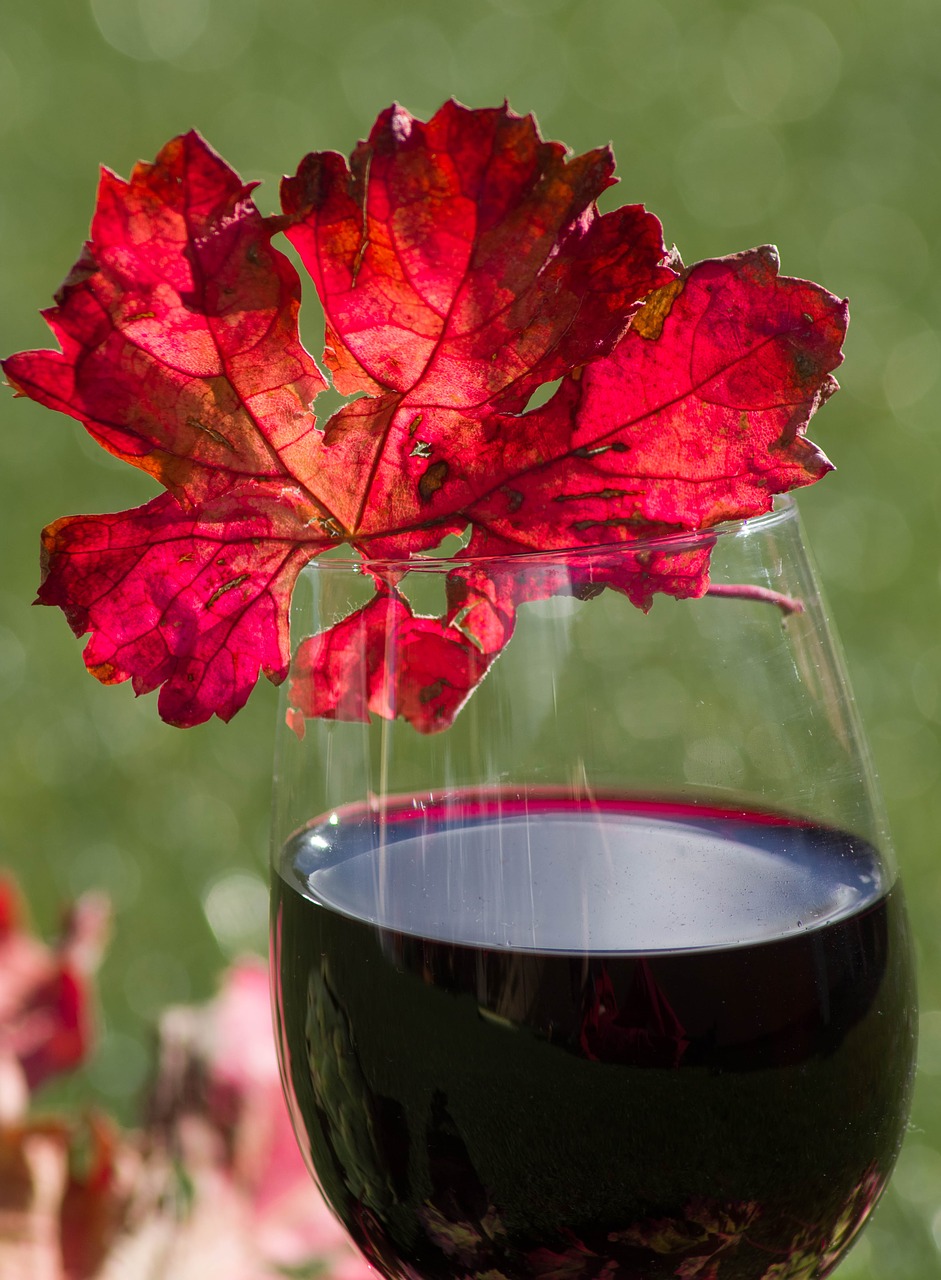 glass of wine  alcohol  vine leaf free photo