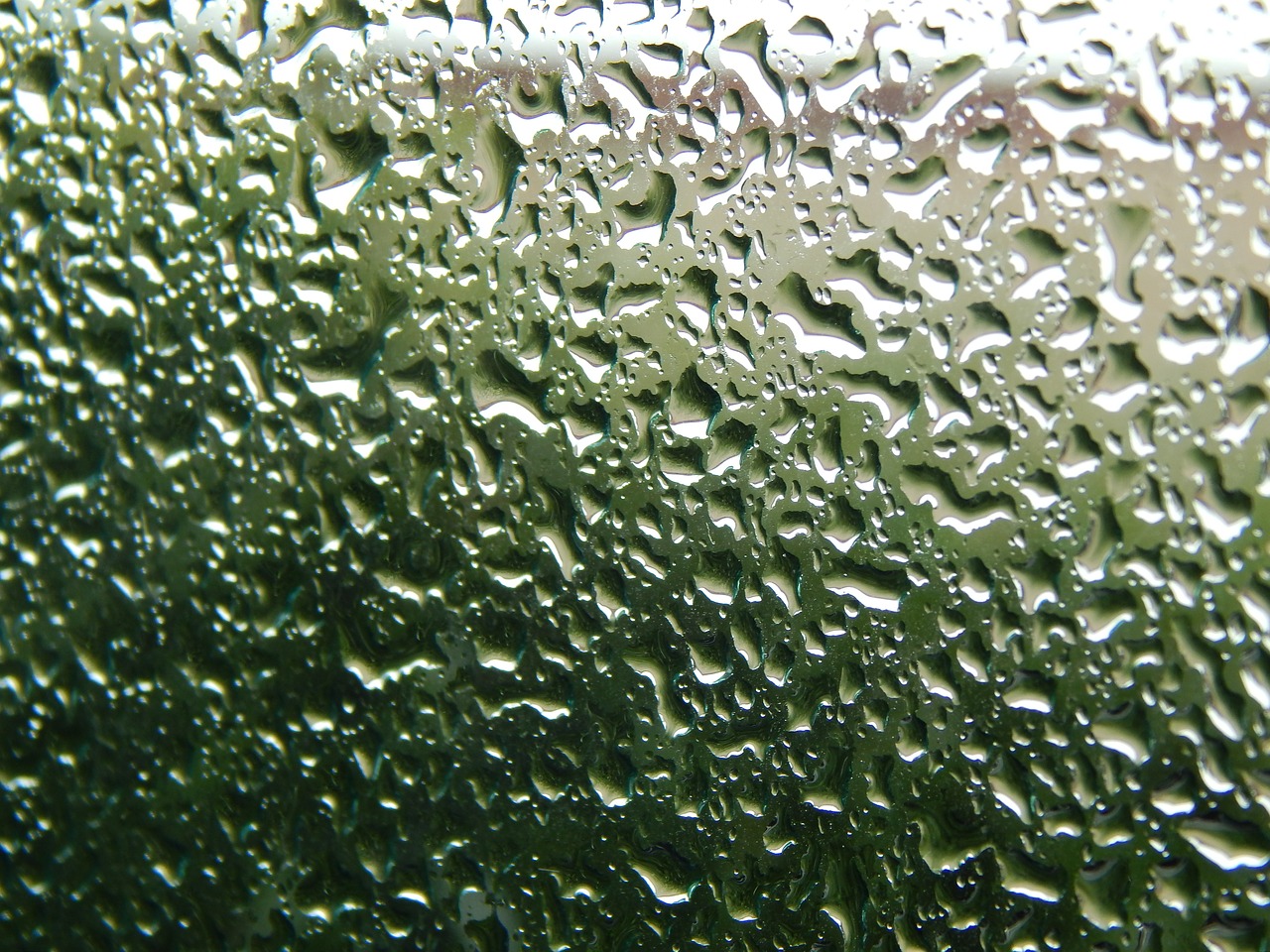 glass wet drops rain free photo
