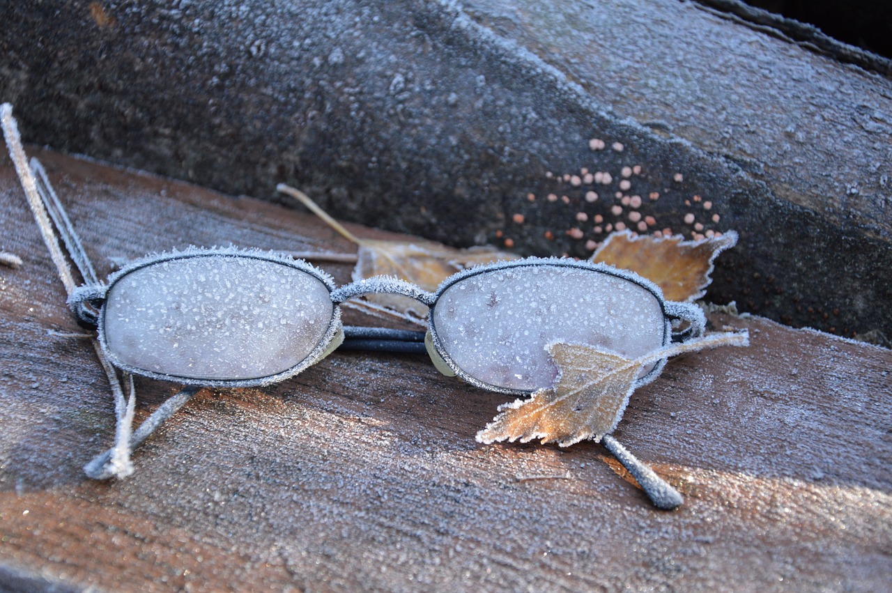 glasses frost old free photo