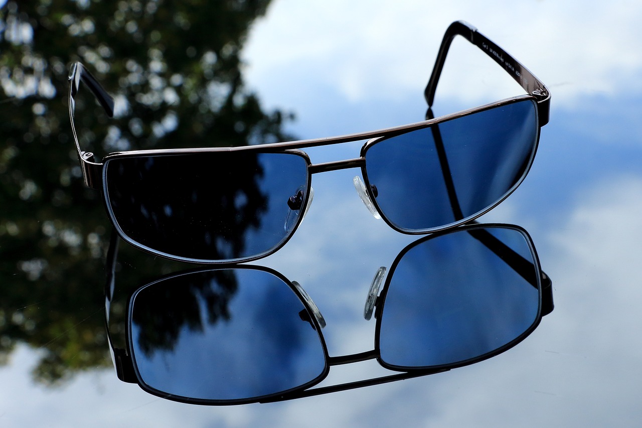 glasses sunglasses mirroring free photo