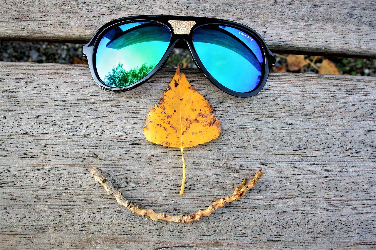 glasses a smile leaf free photo