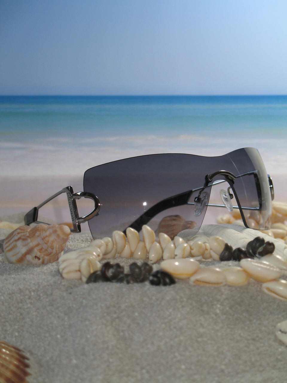 glasses  beach  mussels free photo