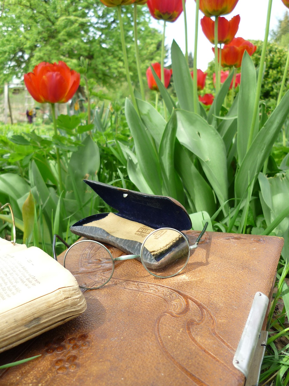 glasses glasses case old free photo