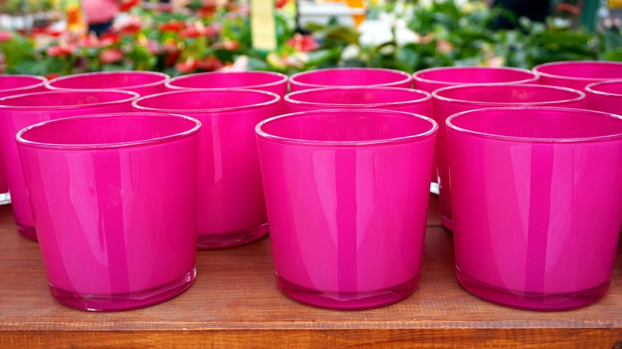 glasses  pink  deco free photo