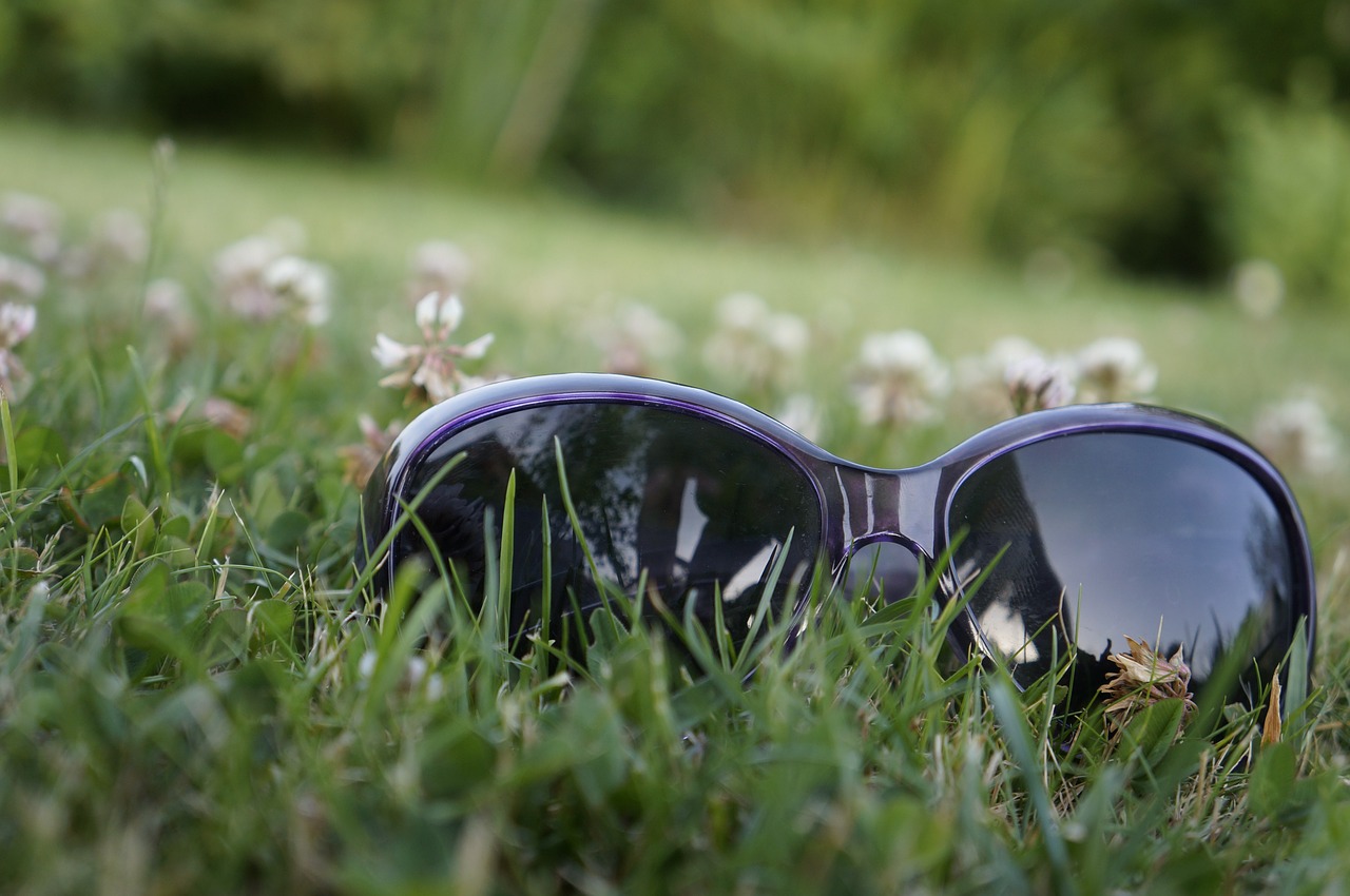 glasses grass clover free photo