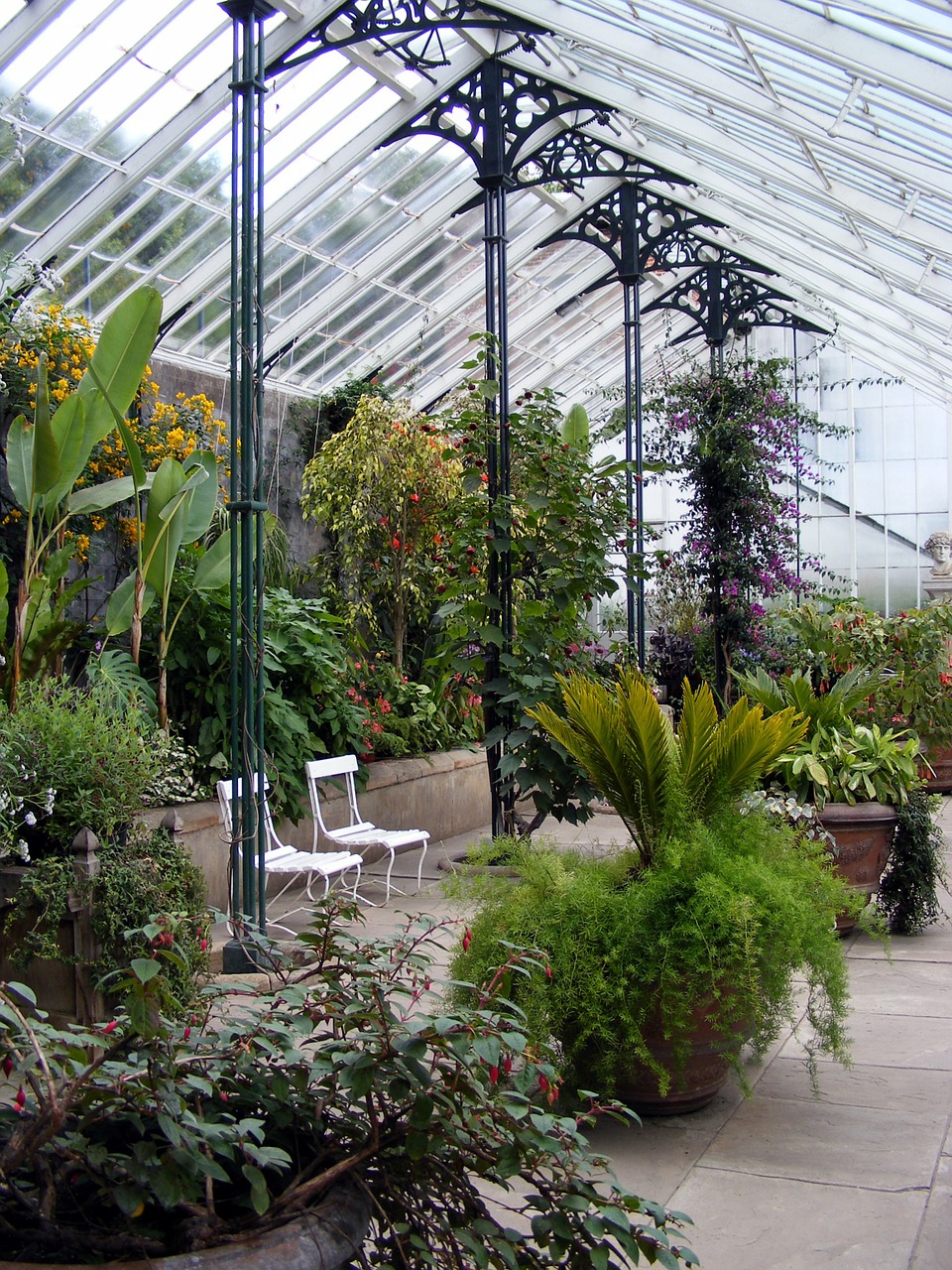 glasshouse greenhouse plant free photo