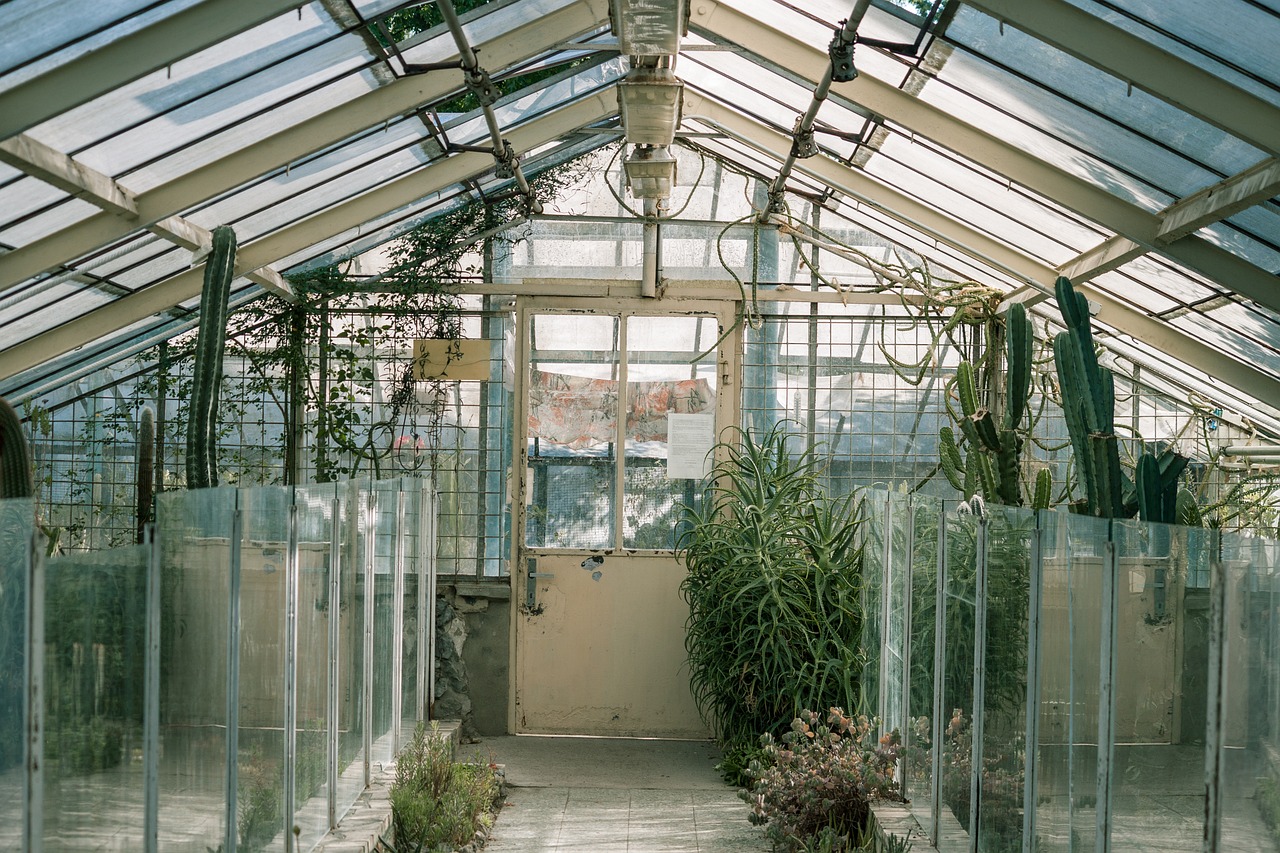 glasshouse greenhouse green free photo