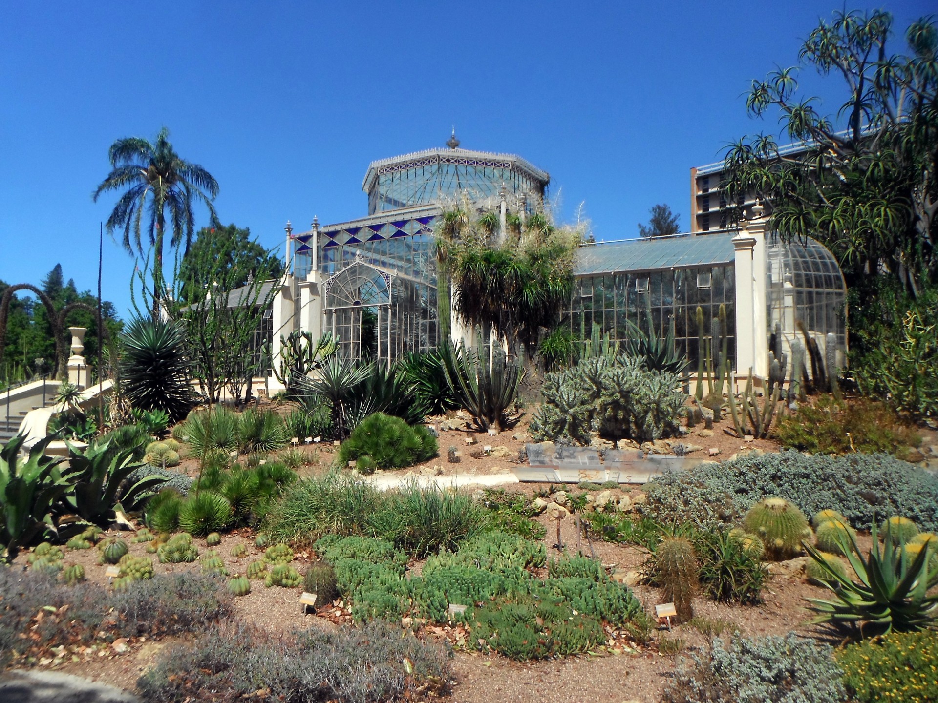 glass house conservatory hot house free photo