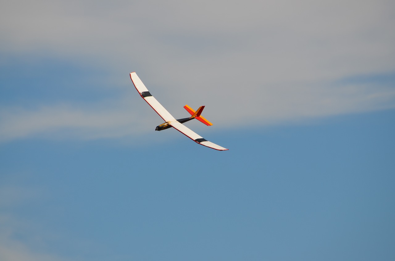 glider rc glider radio controlled plane free photo