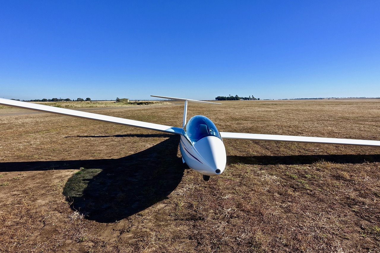 glider sailplane aircraft free photo
