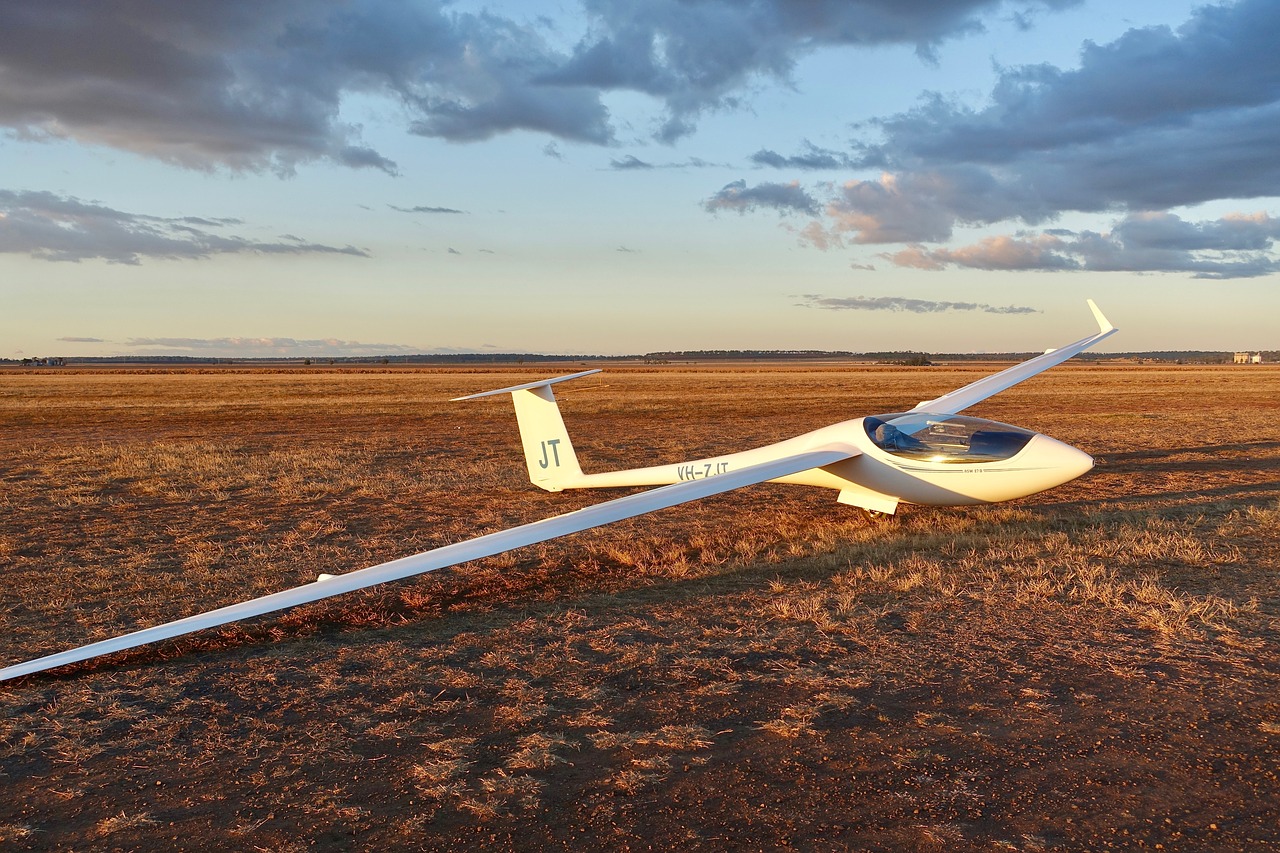 glider wings sailplane free photo