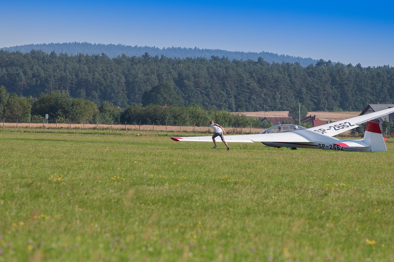 glider fly aviation free photo