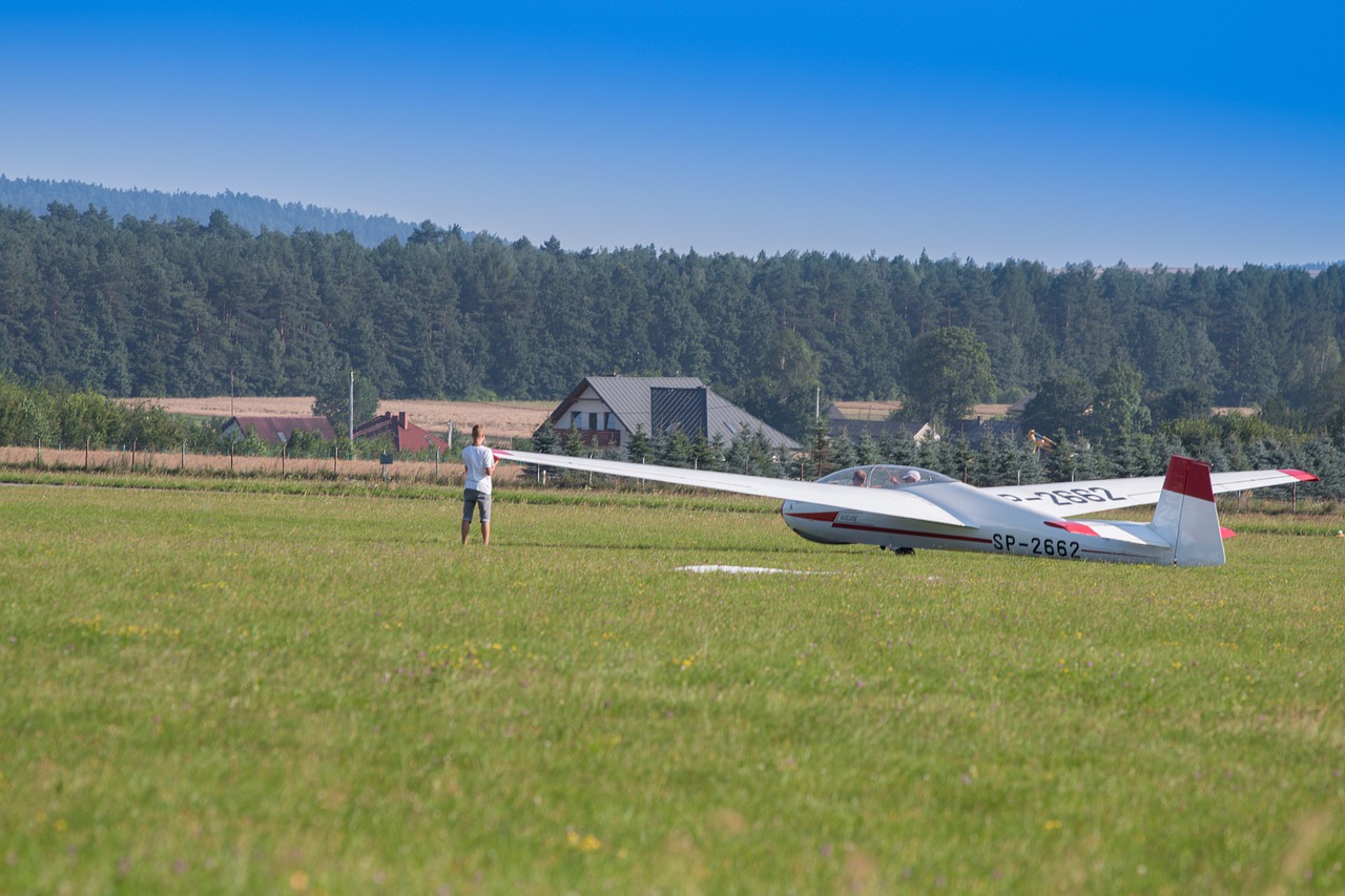 glider fly aviation free photo