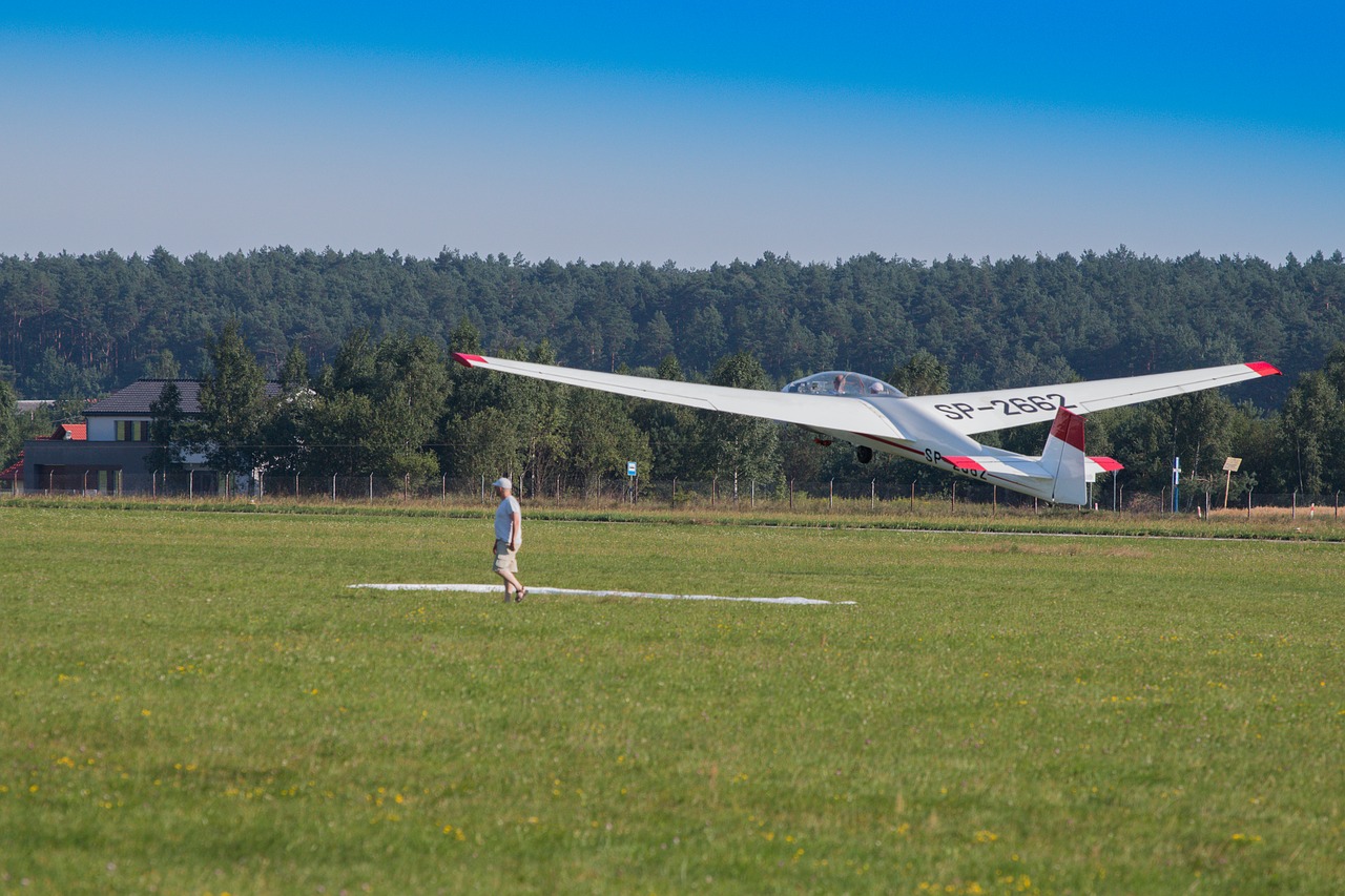 glider fly aviation free photo