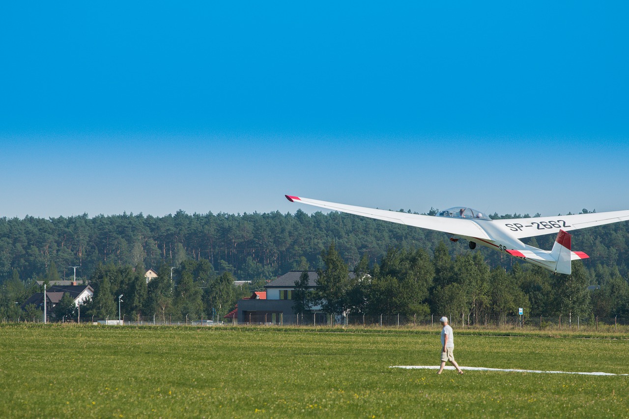 glider fly aviation free photo