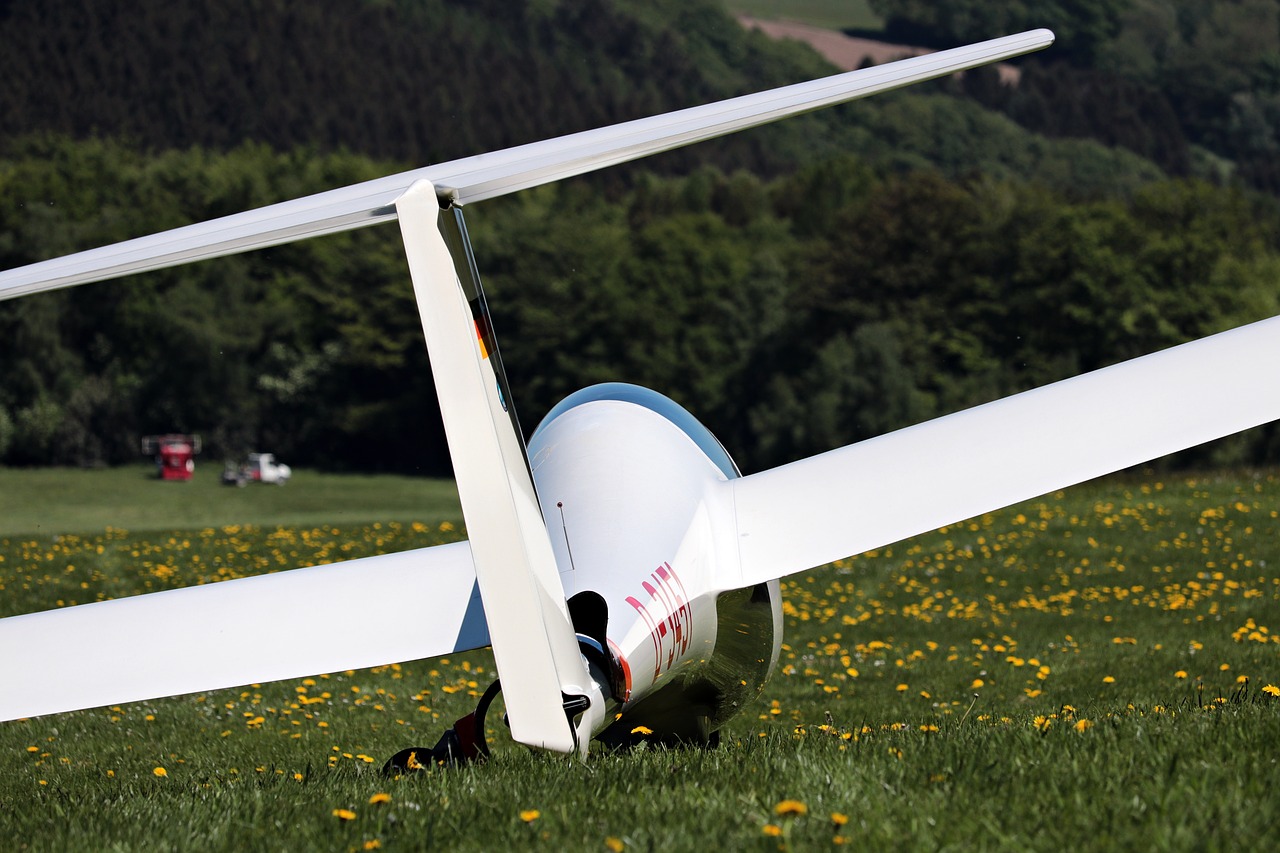 glider  meadow  flying free photo