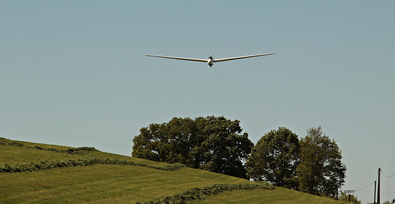 glider  landing  glider pilot free photo