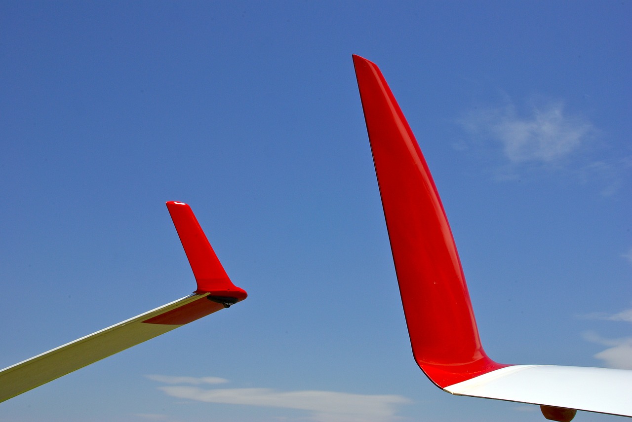 glider wings airplane free photo