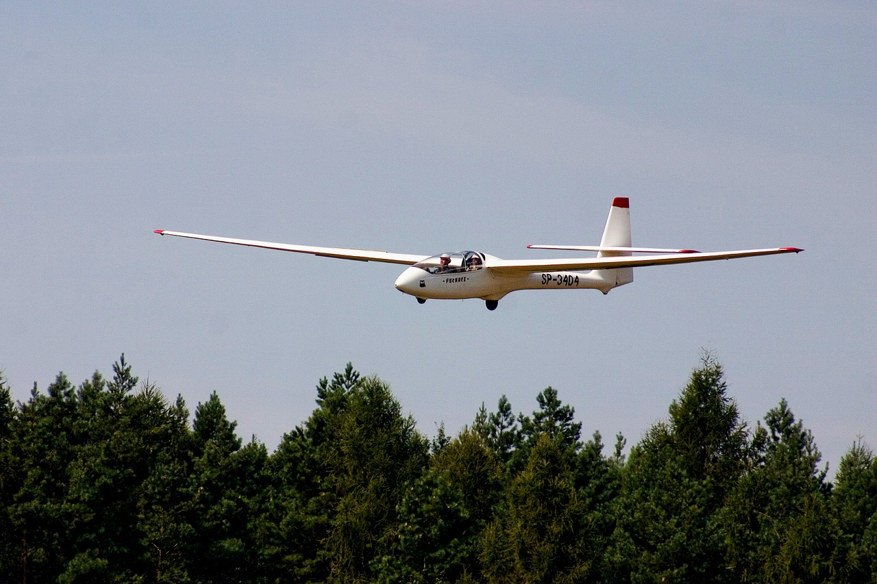 glider fly aircraft free photo