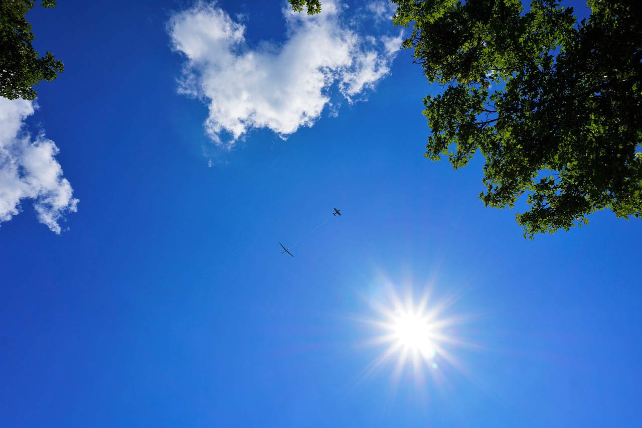 glider pilot aircraft sky free photo