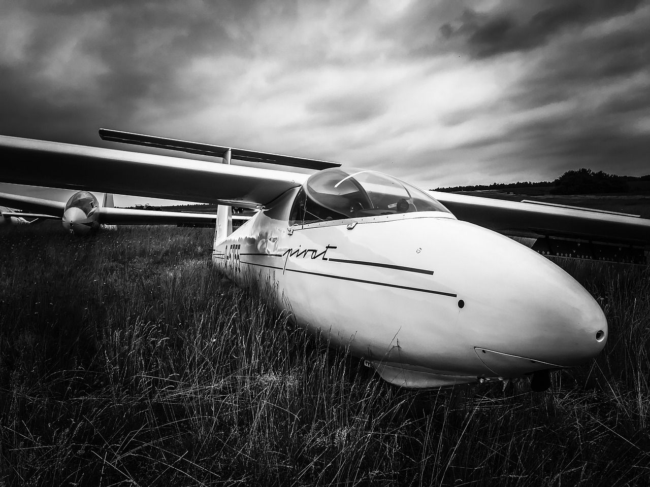glider pilot aircraft pirate free photo
