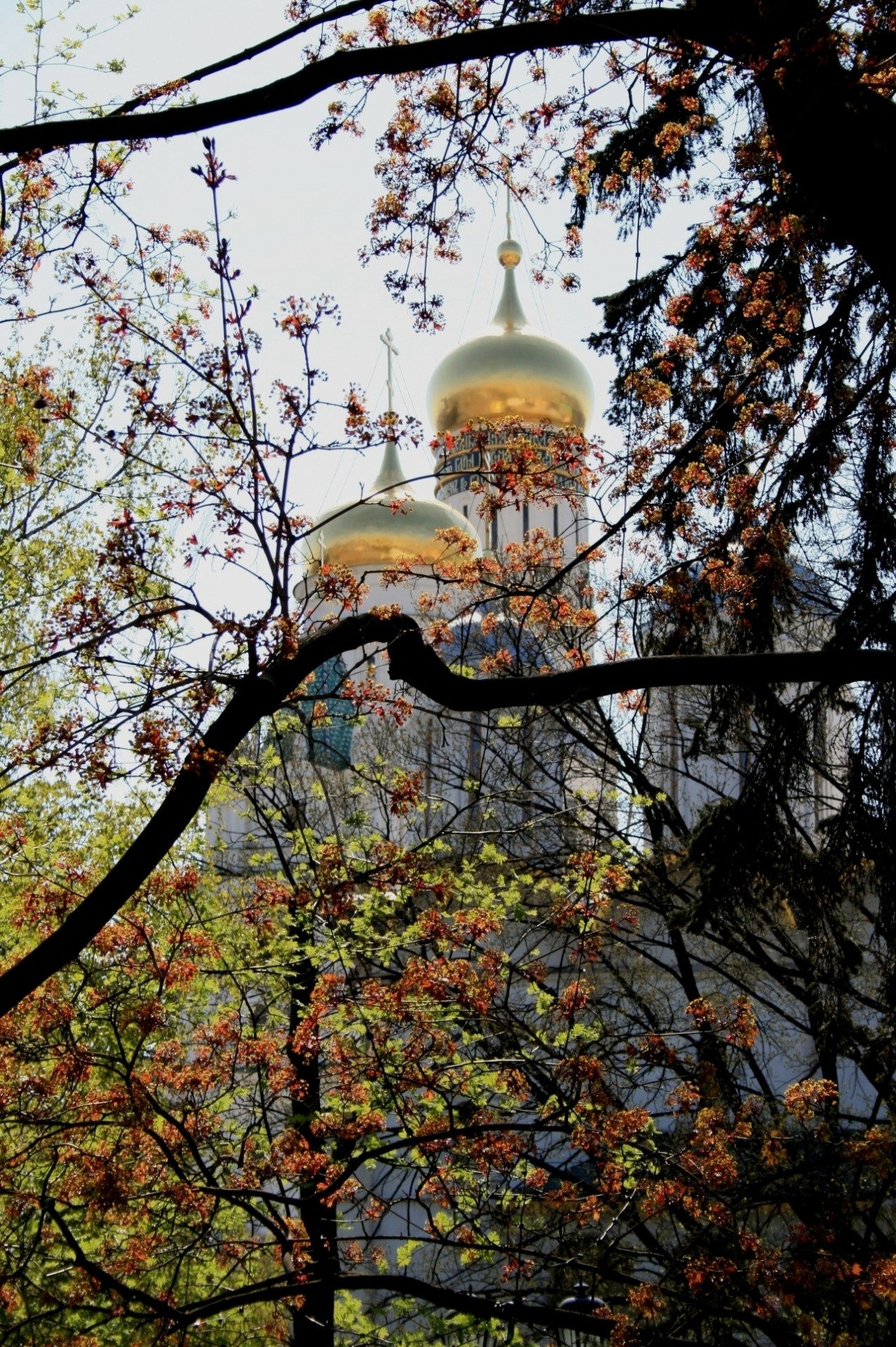 architecture russian orthodox golden onion domes free photo