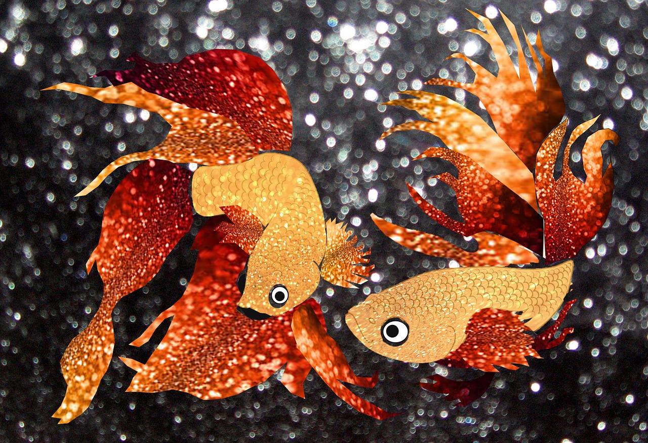 glitter goldfish glitter goldfish free photo