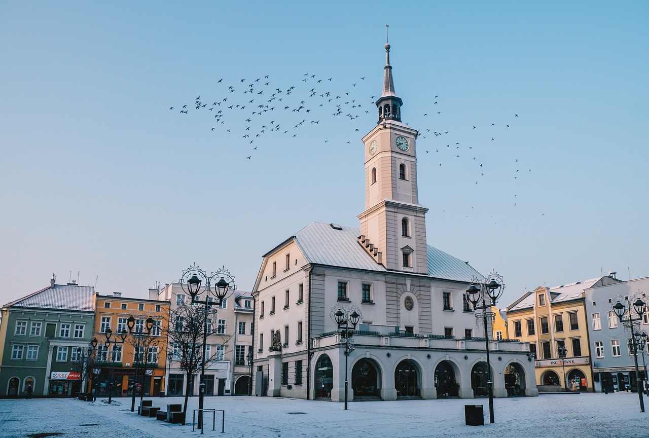 gliwice  the market  the town hall free photo