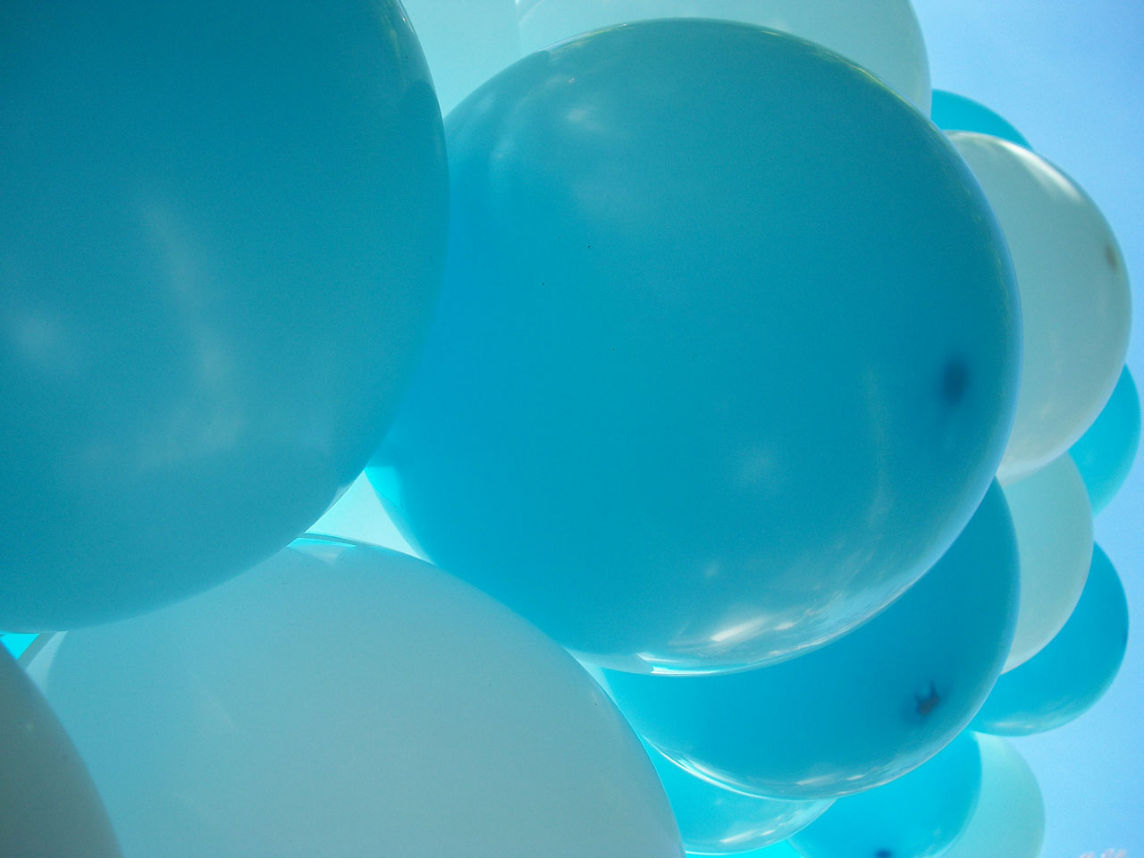 balloons balloon blue free photo