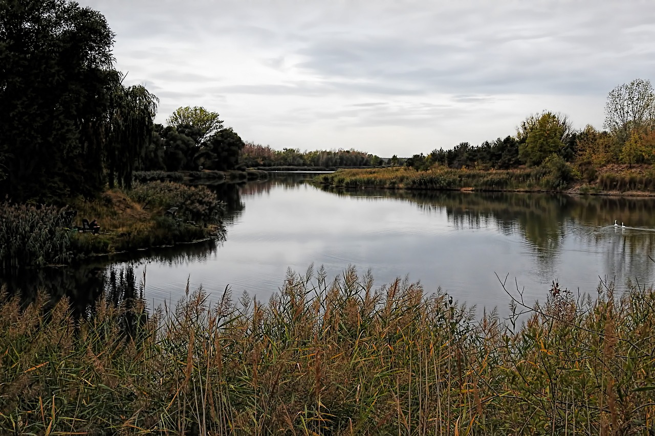 gloomy  grey  autumn free photo