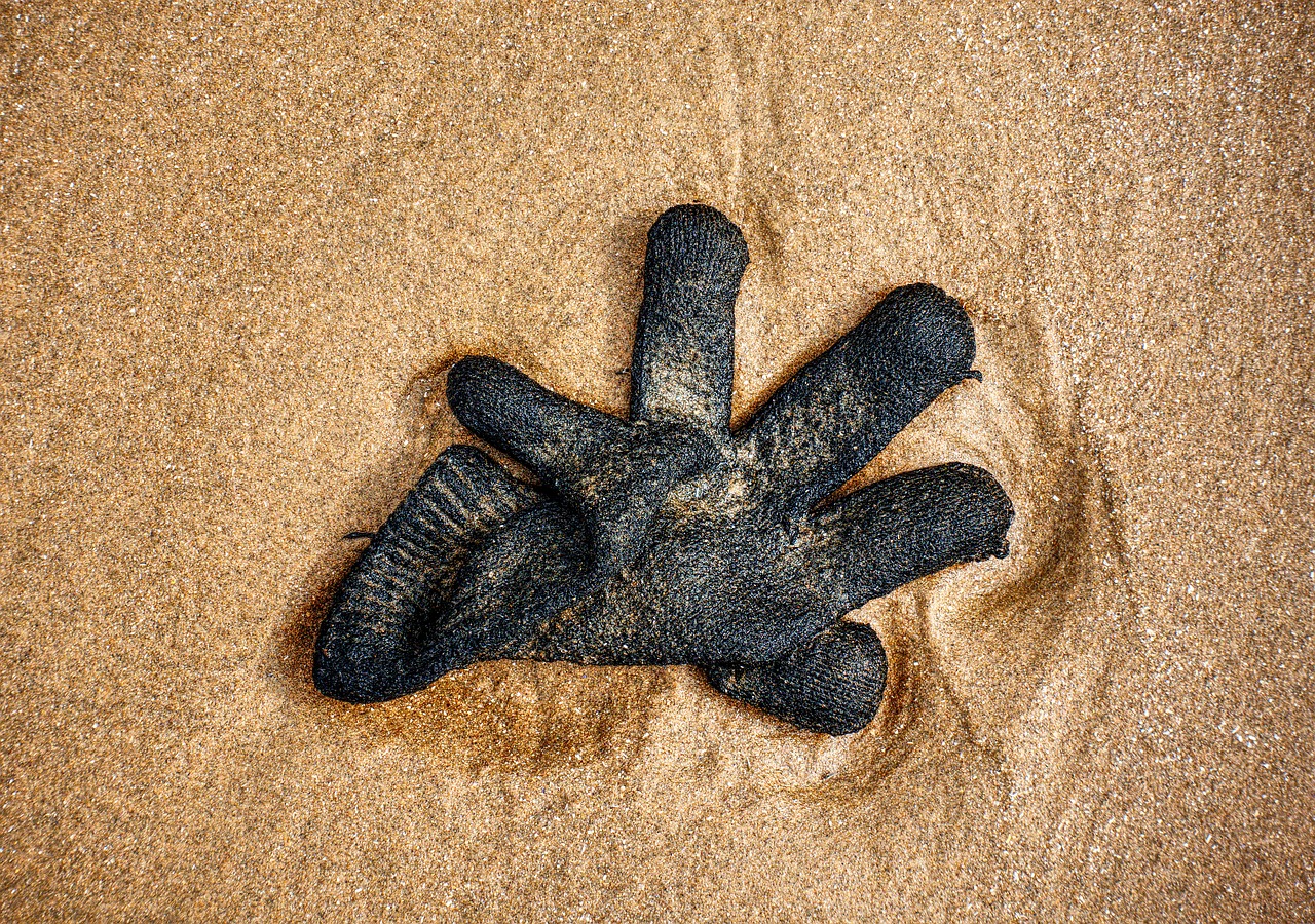 glove  lost  beach free photo