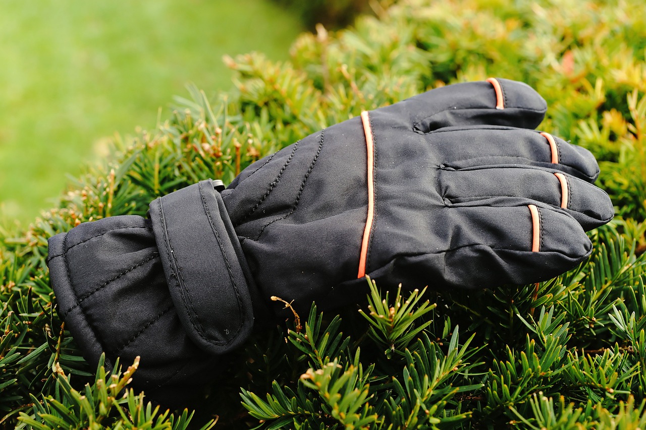 glove hedge winter free photo