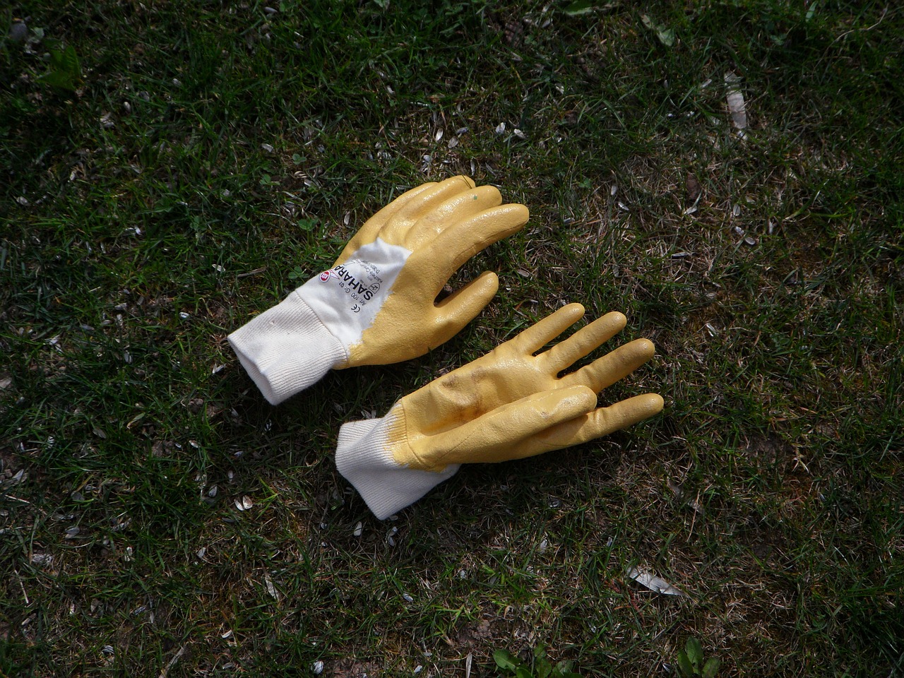 gloves gardening garden free photo