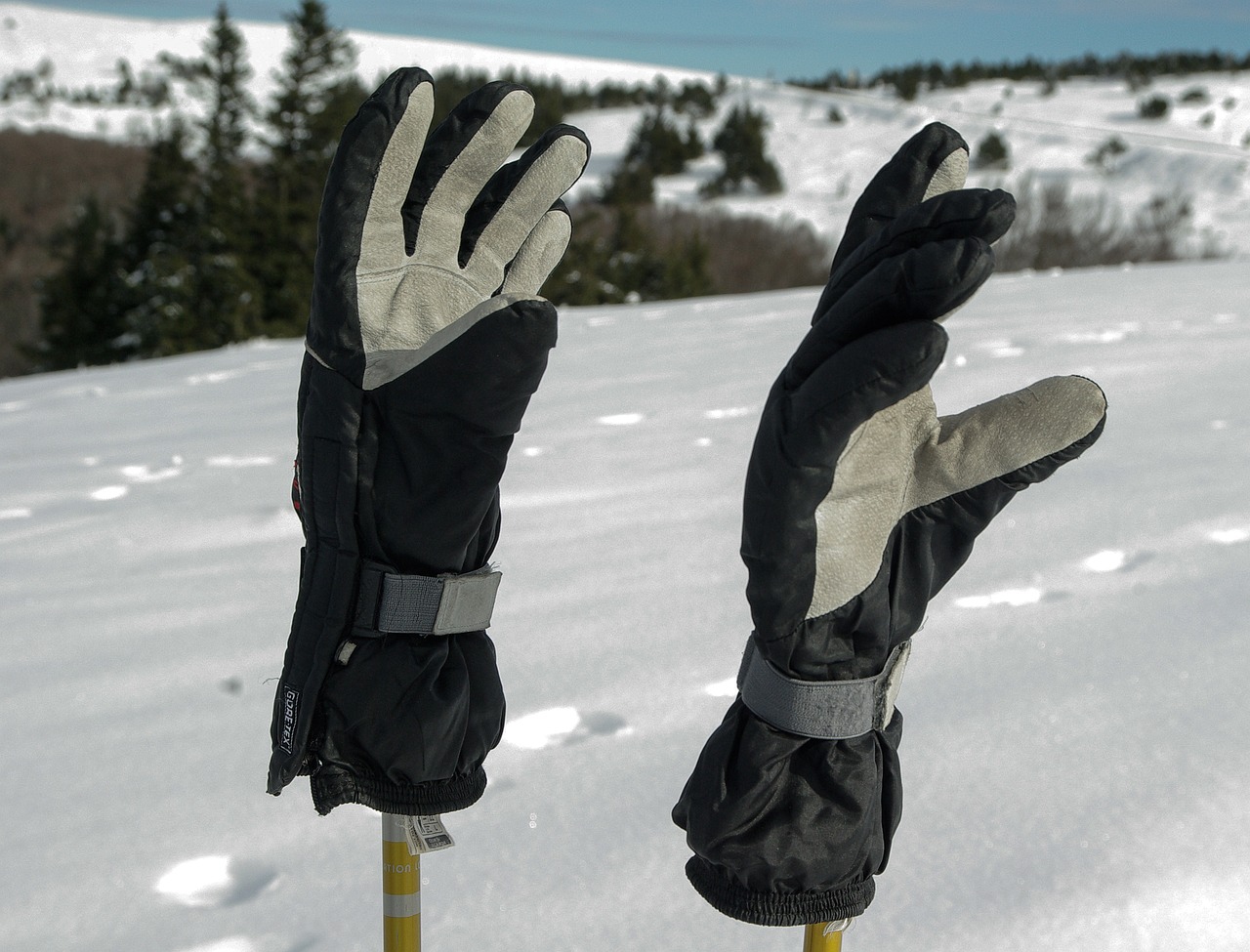 gloves ski snow free photo