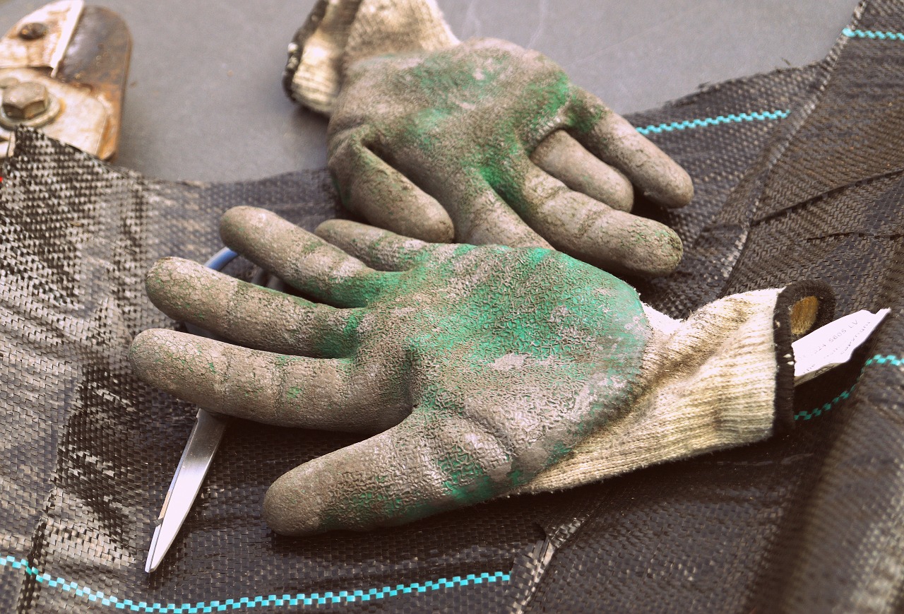 gloves work gloves gardening free photo